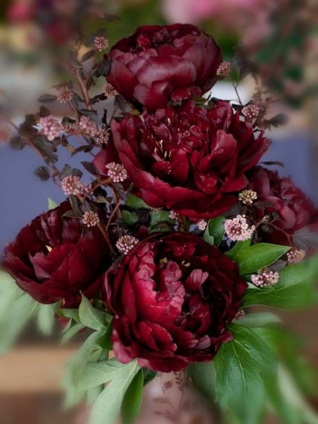 Foto via: <a href="http://georgiannalane.com/2010/06/paean-to-paeony.html" target="_blank" rel="noopener">Georgianna Lane</a> Räds inte djupa kulörer – burgundy skapar en fin kontrast till de gröna bladen.