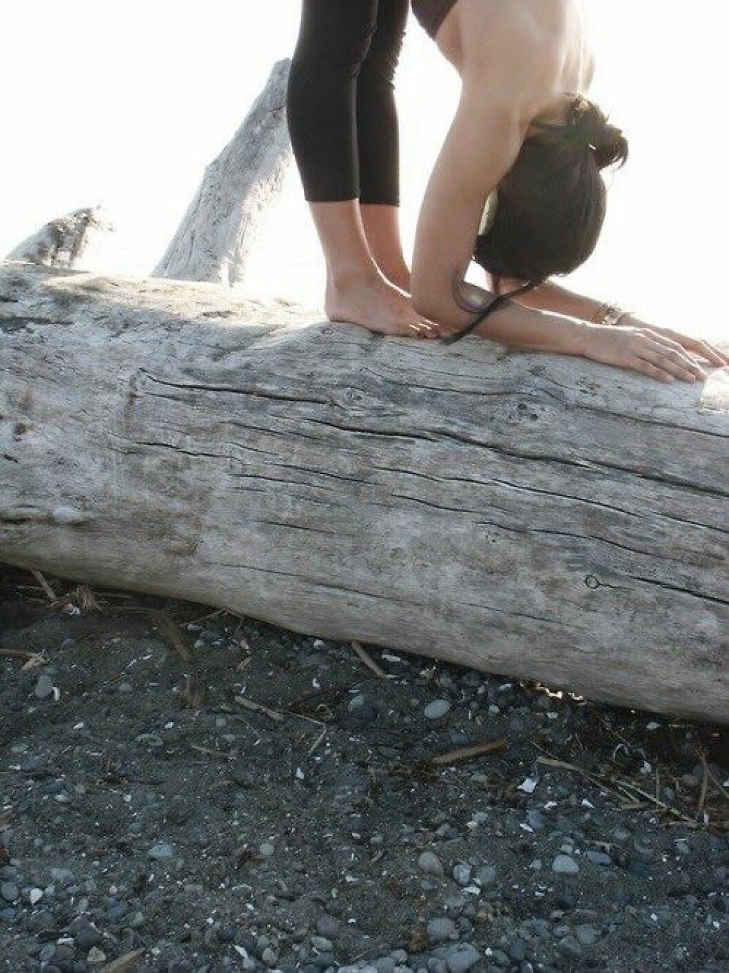 Foto via: <a href="https://www.spiritualgangster.com/blogs/news/15663764-tumblr-tuesday" target="_blank">Spiritual gangster</a> 03. yoga-tree