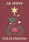 I antologin Jul under Polstjärnan finns bland annat Emma Hambergs novell Tvära kast och en god jul.
