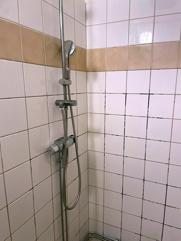 FÖRE: Flera av fogarna i duschen är svarta av ingrodd smuts. FÖRE: Flera av fogarna i duschen är svarta av ingrodd smuts.