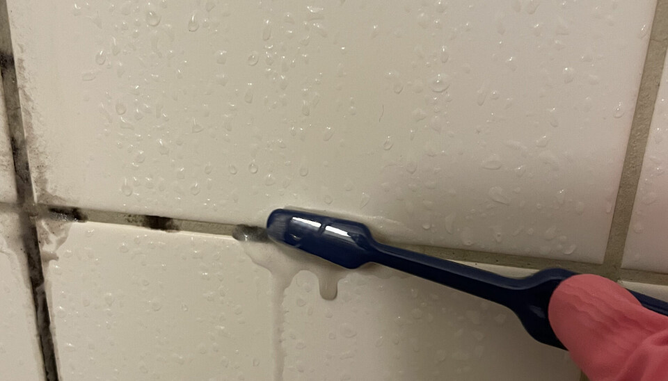 En gammal tandborste funkar perfekt för att skrubba mellan fogarna. En gammal tandborste funkar perfekt för att skrubba mellan fogarna.