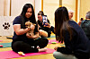 Att gå på hundyoga är en upplevelse värd att dokumentera!