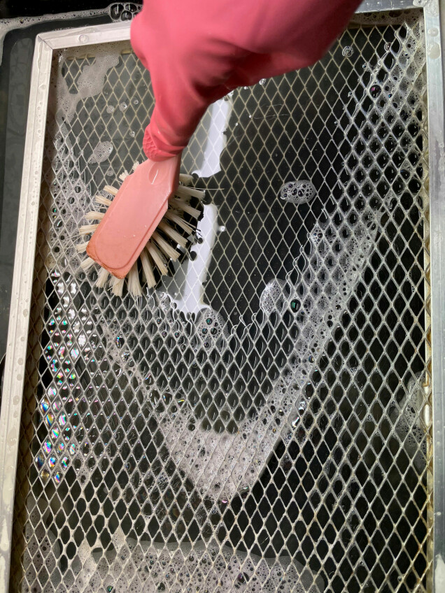 Efter att ha dragit i vattnet i en kvart gick det lätt att diska bort allt fett och damm som samlats under fläkten. Efter att ha dragit i vattnet i en kvart gick det lätt att diska bort allt fett och damm som samlats under fläkten.