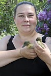 Lina Jansson med sina nykläckta ankungar av rasen svensk blå anka.