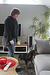 Jaktspanieln Bessie söker ivrigt i soffan som Madeleine preparerat med vägglöss.