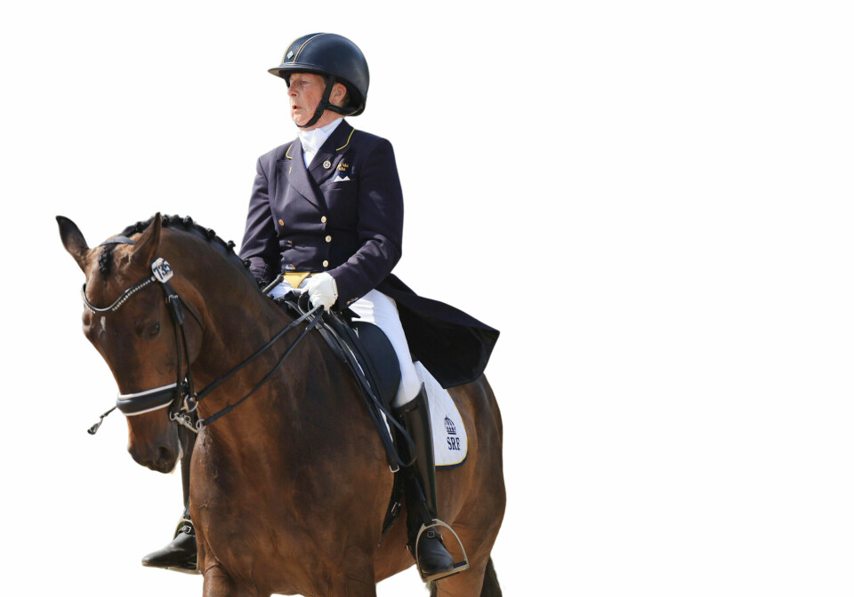 Diddy Cool är ingen cool häst, trots sitt namn, avslöjar Ulla. Här är de på Falsterbo Horse Show sommaren 2023. Diddy Cool är ingen cool häst, trots sitt namn, avslöjar Ulla. Här är de på Falsterbo Horse Show sommaren 2023.