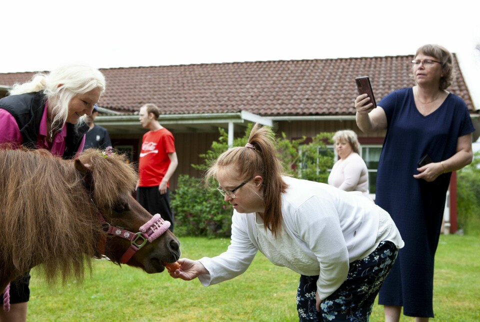 Enhetschef Åse Galko förevigar mötet med mobilen. Enhetschef Åse Galko förevigar mötet med mobilen.
