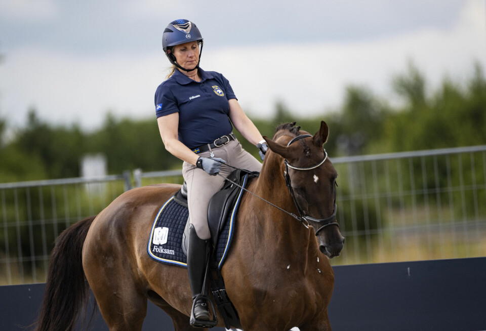 Lena Malmström vid FEI World Championships i Herning, Danmark. Lena Malmström vid FEI World Championships i Herning, Danmark.