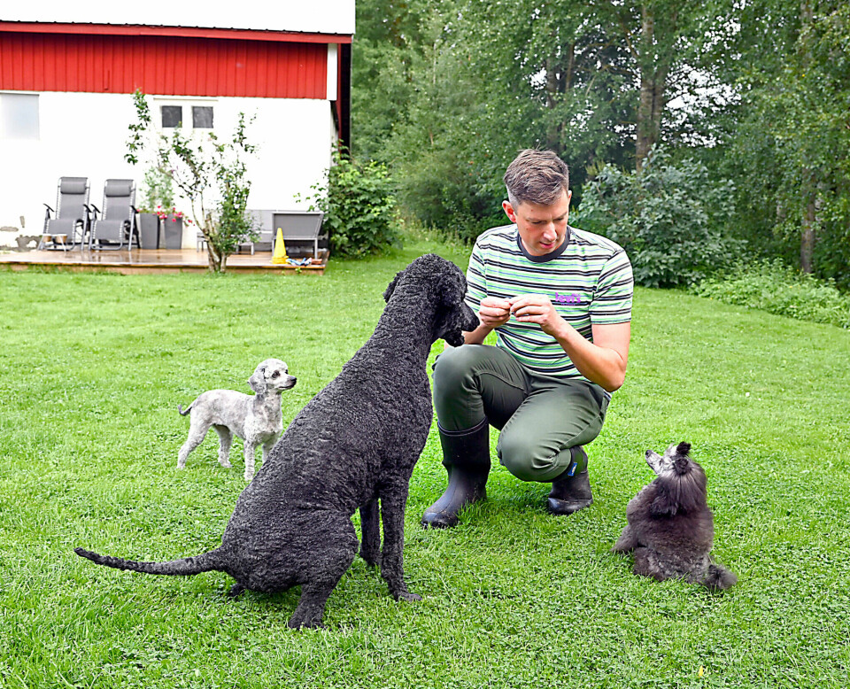 Till familjen hör också pudlarna Ture, Vera och Sonja samt katterna Röta och Charlie. Till familjen hör också pudlarna Ture, Vera och Sonja samt katterna Röta och Charlie.