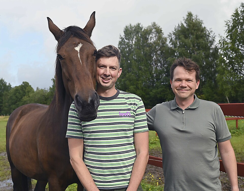 Jeremias och sambon Thomas trivs med djuren på gården i Västerbotten. Jeremias och sambon Thomas trivs med djuren på gården i Västerbotten.