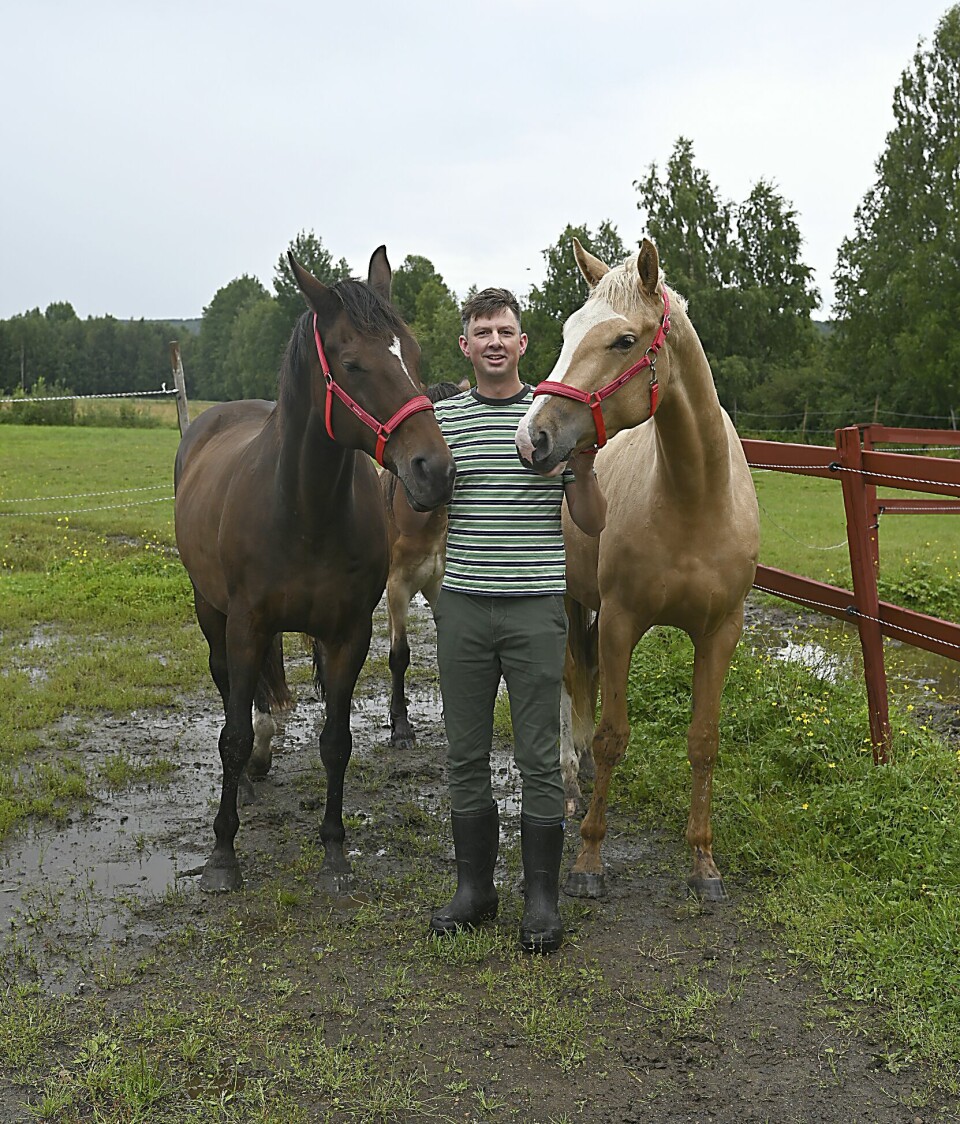 Hästarna Malwa och Mathilde, som är mor och dotter, tillsammans med kompisens nordsvensk Maj-Gåva. Hästarna Malwa och Mathilde, som är mor och dotter, tillsammans med kompisens nordsvensk Maj-Gåva.