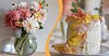 Dekorera med dahlior: inspirerande pysseltips för rabattens eleganta blomma