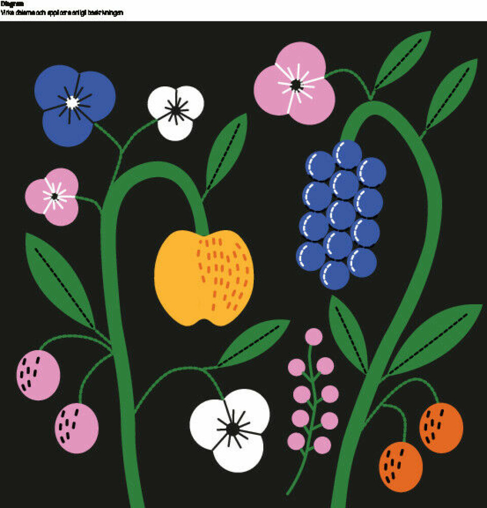 Virka och brodera finaste kudde – med blommor och bär