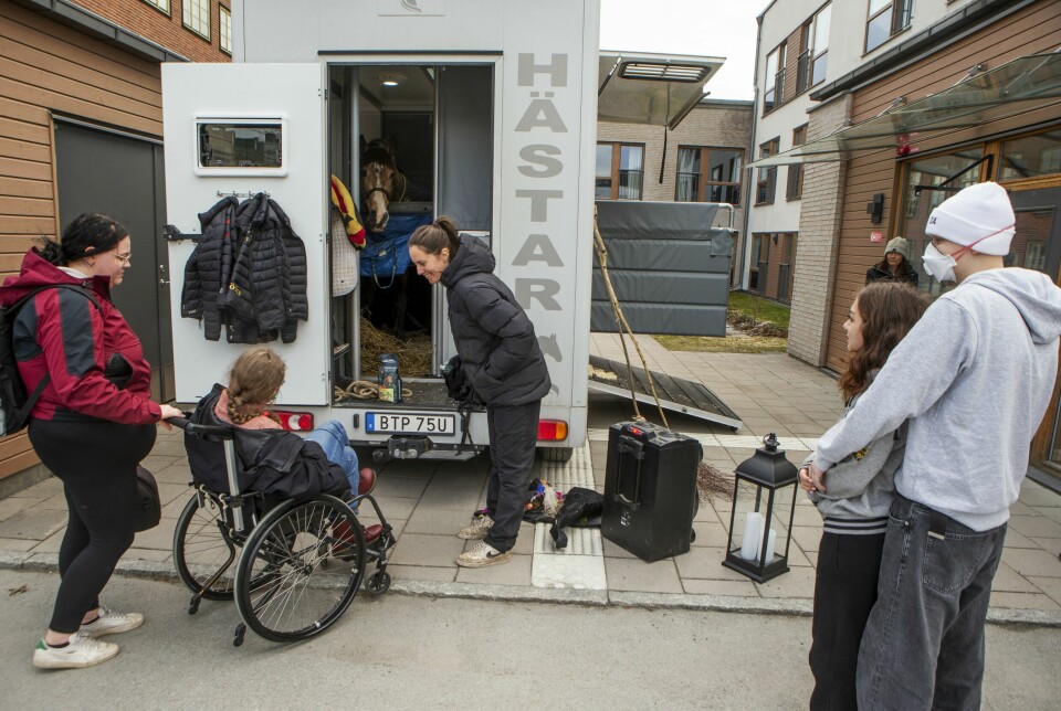 I hästtransporten står även Hannibal, som kan showa men också delta i lekterapin för att avdramatisera sjukhusbesöken för barnen. I hästtransporten står även Hannibal, som kan showa men också delta i lekterapin för att avdramatisera sjukhusbesöken för barnen.