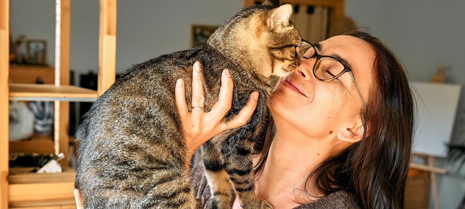 Ängla: Min katt fick hälsan tillbaka – med chiafrön