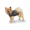 Thundershirt är en ny produkt som är tänkt att hålla om hunden som en kram därmed lugna.