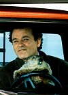 Killarna hade i själva verket sett komedin Måndag hela veckan med Bill Murray i huvudrollen.