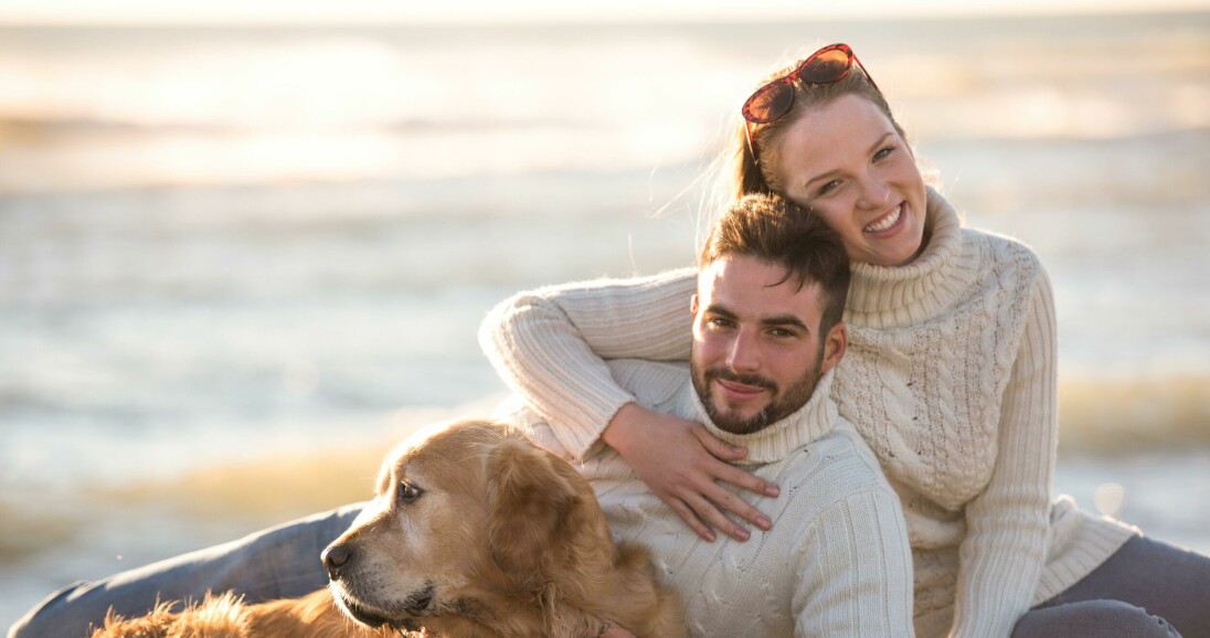 Så undviker du konflikt om husdjuren vid en separation