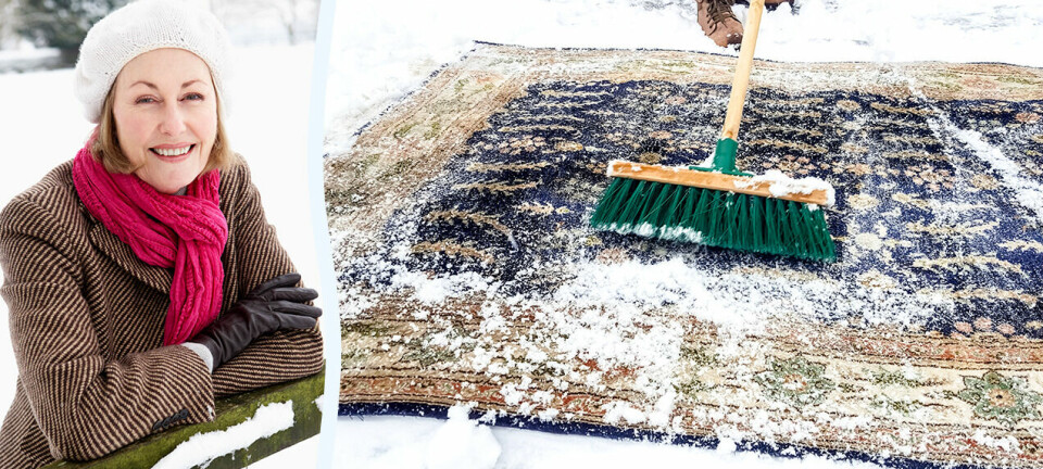 Därför ska du ALLTID tvätta mattan i snön – oväntade fördelarna