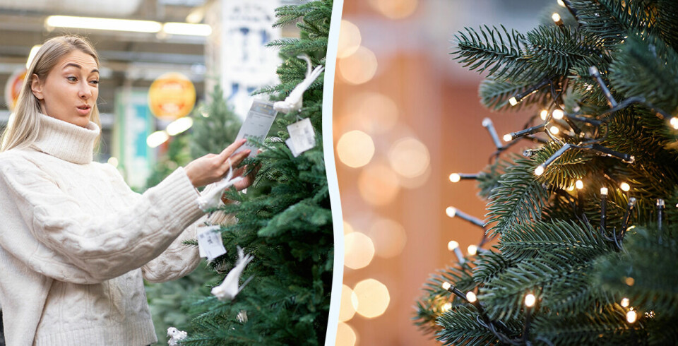 Vilken plastgran ska du köpa om du vill tänka på miljön? Här är svaret Kvinna inspekterar plastgranar, närbild plastgran med ljusslinga