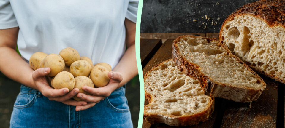 Därför ska du lägga en potatis i brödpåsen