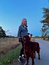 På promenad med Fingal – bara nio pojkar har fått det namnet de senaste 30 åren. och en hund.