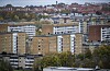 Inas växte upp i Holma-Kroksbäck i Malmö.