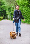 En söt cocker spaniel som tyvärr aldrig kommer att lära sig att gå utan att dra – inte så länge matte använder flexikoppel i alla fall.
