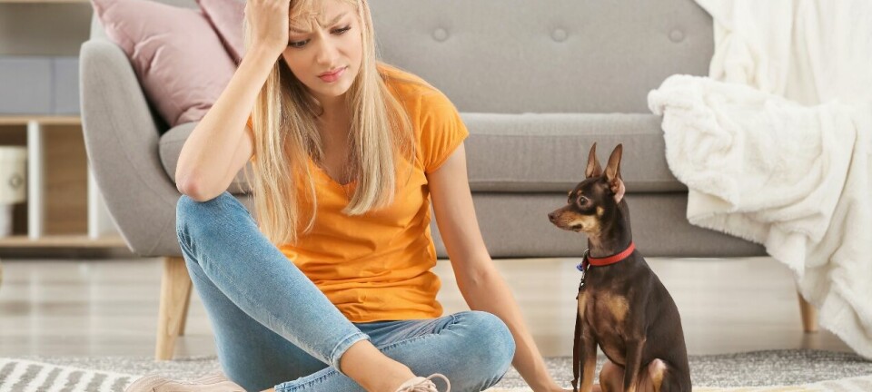 Wendela: Min hund och jag pratade inte på en vecka – så blev vi vänner igen
