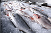 Maud har ett knep för att avgöra om fisken är färsk, när gon köper den hel över disk.