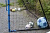 Ett hem byggt för barnen. Ebba vill skapa en trygg plats för dem.
