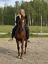 Numera är Linnea helt återställd. En snäll häst som gillar morötter.