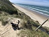 Med sand mellan trampdynorna. Skrållan får se många olika miljöer under sina resor.
