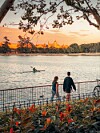 I Casa de Campo samlas lokalbor för promenader och picknickar.