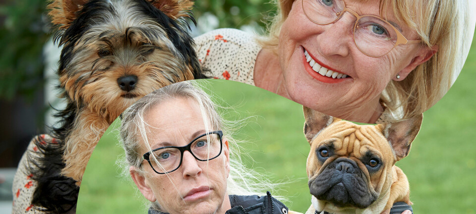 Veronika och Margareta blev lurade av hundsmugglare