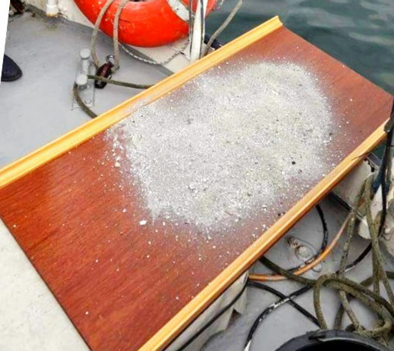 De spred askan av Louisa i Vejle fjord. Askan av Louisa Vesterager Jespersen spreds i havet.