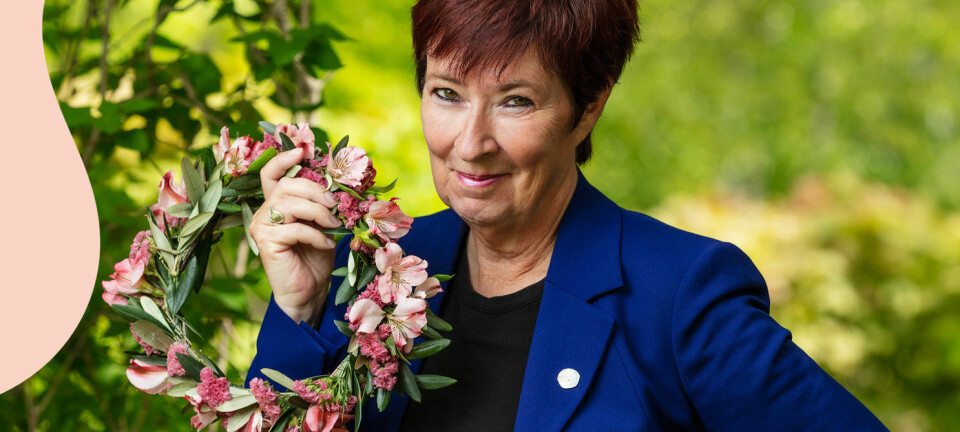 Mona Sahlin efter skandalerna: ”Finns en kraft i snedstegen”