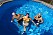 Rita, Tom och Wiggo badar i familjens pool