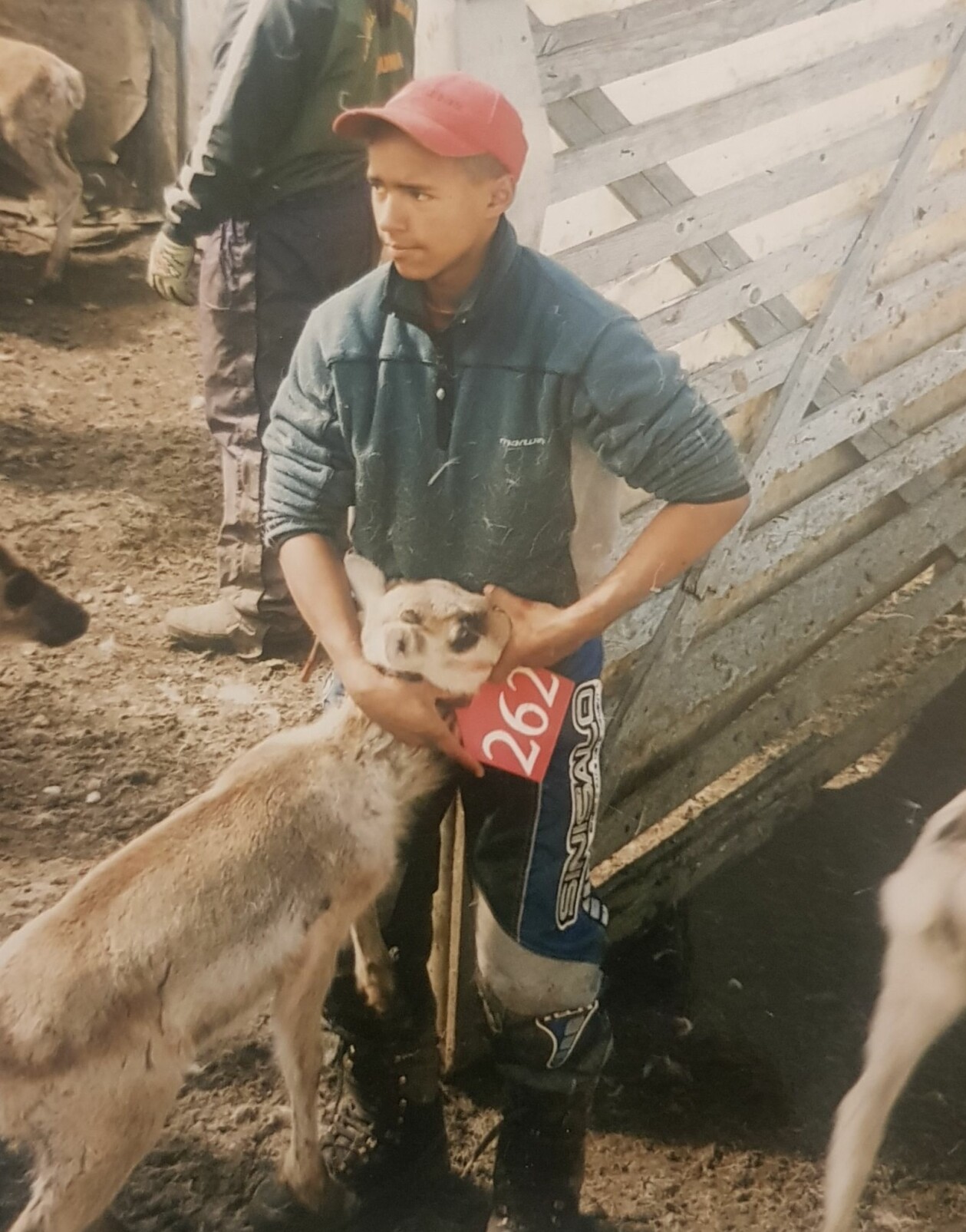 Jon Henrik adopterades in i en samisk renskötarfamilj. En ung Jon Henrik Fjällgren håller en renkalv över nosen.