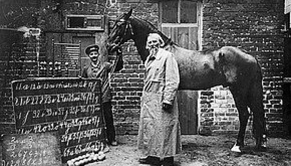 Wilhelm von Osten hade lärt sin häst Kloke Hans att räkna. Wilhelm von Osten hade lärt sin häst Kloke Hans att räkna.