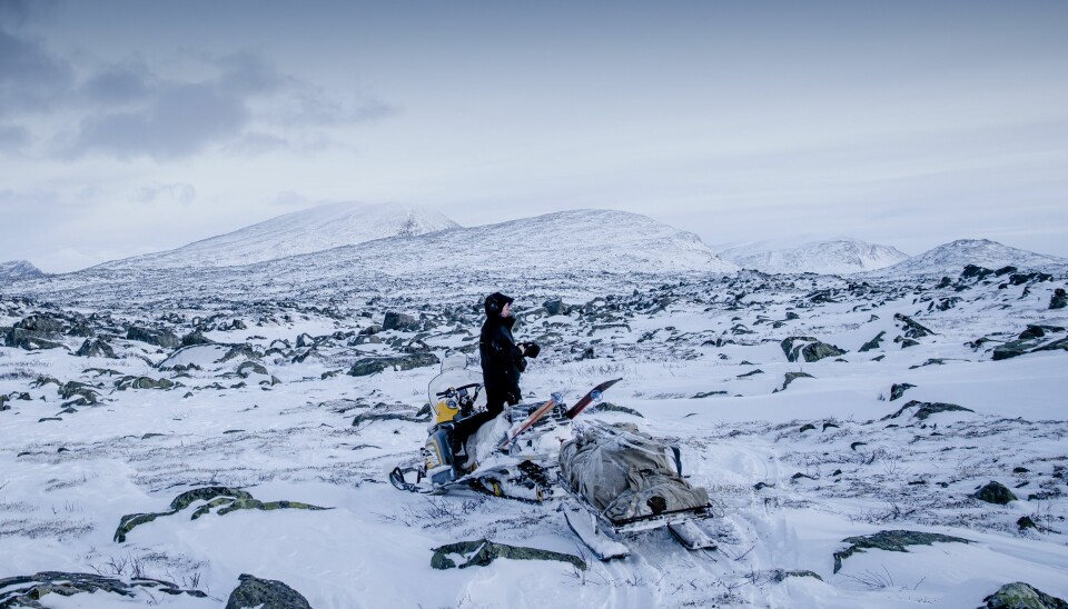 Sanna är ordförande i Sáminuorra, svenska samernas riksungdomsförbund. Foto: Carl-Johan Utsi Sanna är ordförande i Sáminuorra, svenska samernas riksungdomsförbund. Foto: Carl-Johan Utsi