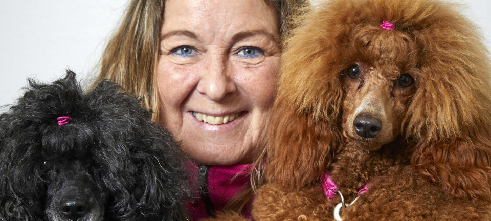 Pia drabbades av stroke: ”Hunden Kajsa blev min rehab”