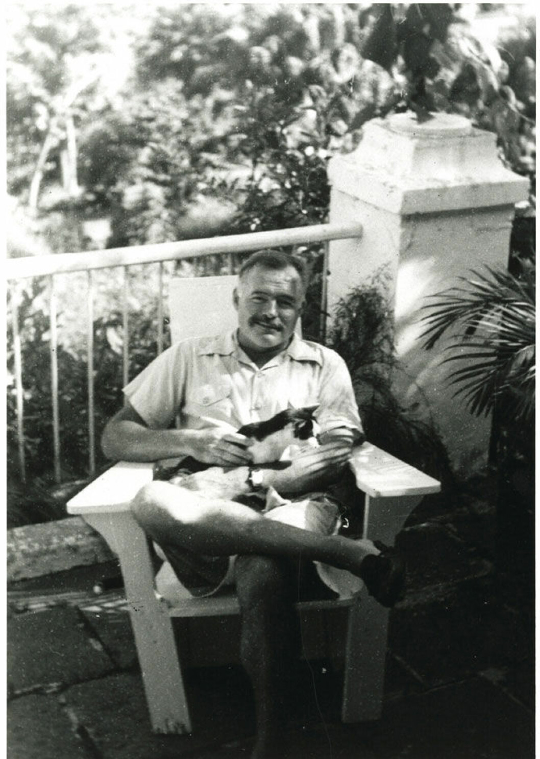 Ernest Hemingway hade huset fullt av katter. Ernest Hemingway hade huset fullt av katter.