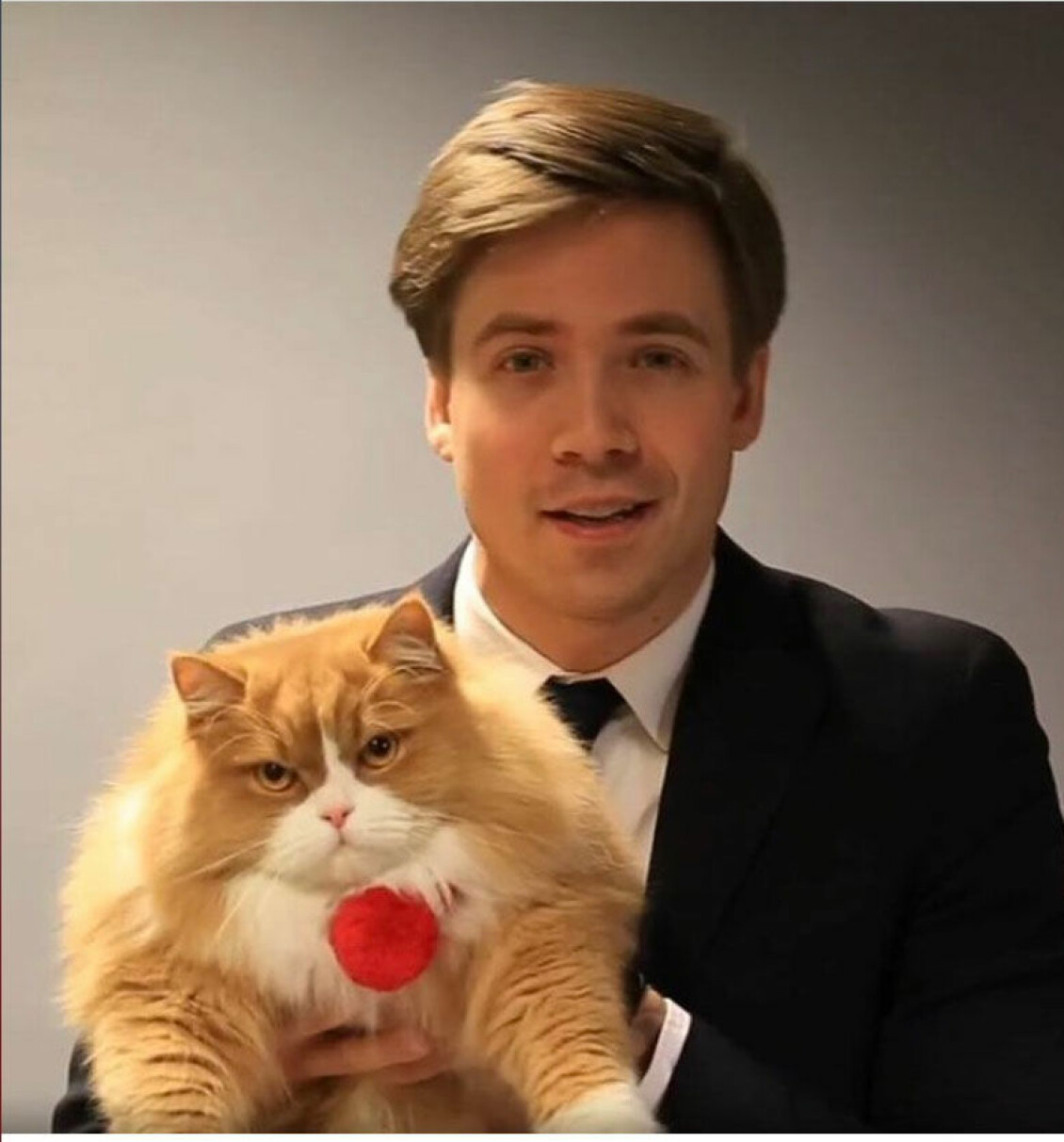 Gösta, en katt med stor personlighet, syns då och då på husses Instagramkonto. Foto: Instagram Gösta, en katt med stor personlighet, syns då och då på husses Instagramkonto. Foto: Instagram