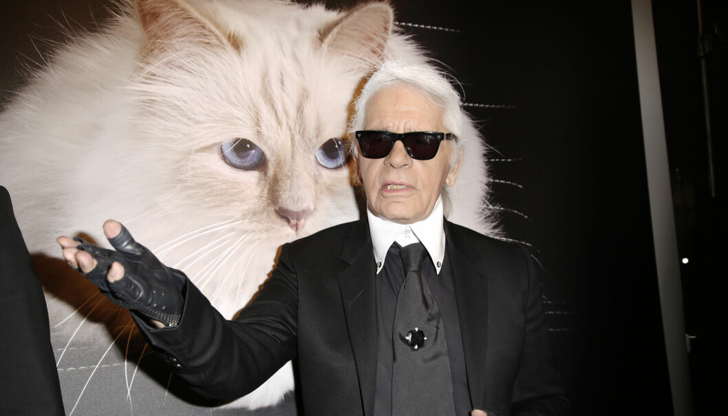 Karl Lagerfeld var en kärleksfull husse som såg till att Choupette fick det bästa av allt. Foto: TT Karl Lagerfeld var en kärleksfull husse som såg till att Choupette fick det bästa av allt. Foto: TT
