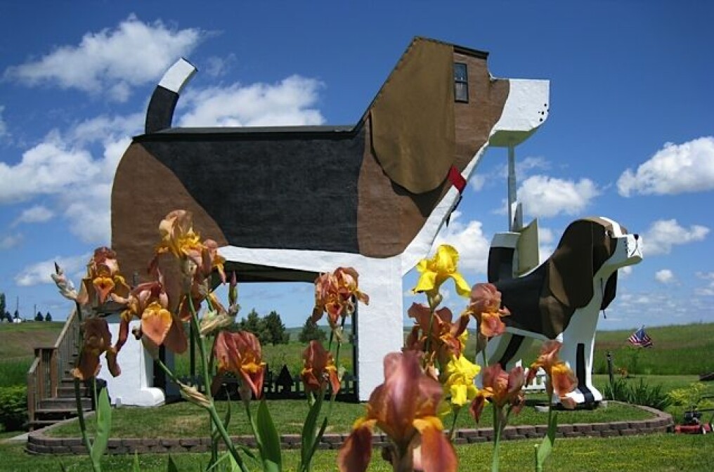 Foto: Dog bark park inn Foto: Dog bark park inn
