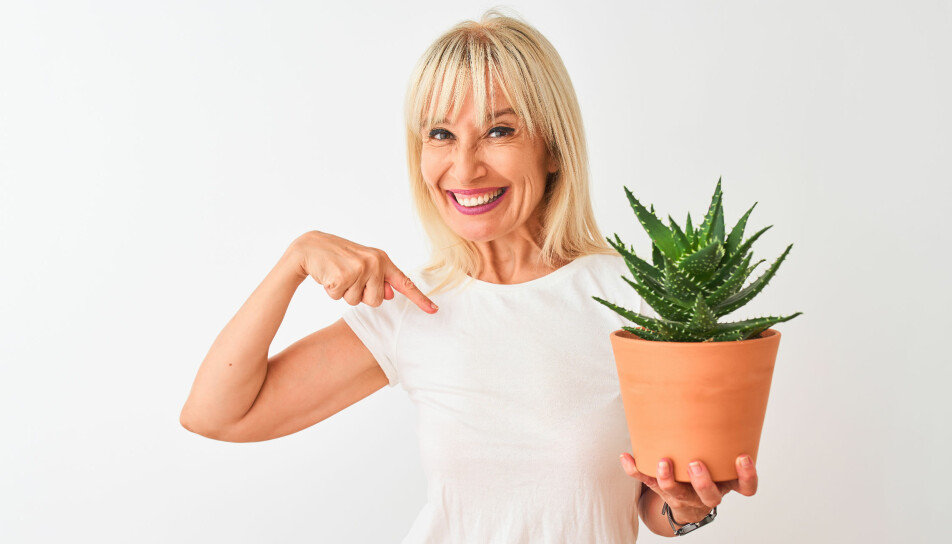 En blomma kan göra mer nytta än du anar! Foto: Shutterstock/TT En blomma kan göra mer nytta än du anar! Foto: Shutterstock/TT