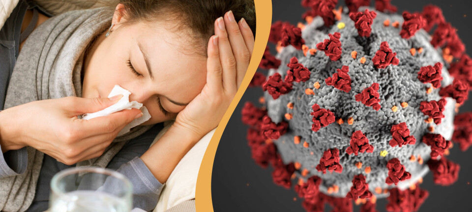 Coronavirus eller vanlig influensa? Här är skillnaderna