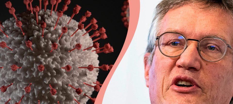 Experterna om coronavirus: Då är värsta krisen över
