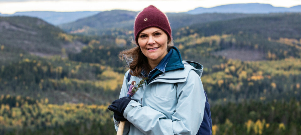 Hovets nya coronabesked om Victoria